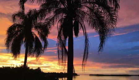 Discover the Ultimate Getaway in Clearwater, Florida